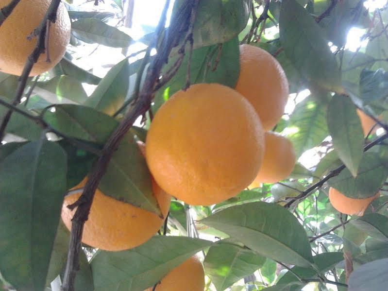Alojamiento Rural El Valle 두르칼 외부 사진